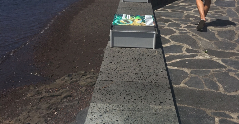 Diversos paneles informativos ubicados en Playa de La Restinga muestran la diversidad de sus fondos